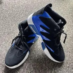 Item thumbnail for item 779df568-bf37-4b63-b82d-adb5de8bb375