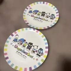はぴだんぶいメラミンプレート 2枚★サンリオお皿