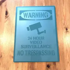 Item thumbnail for item 95960f18-0e05-495f-b5ea-2a64a31b66e3