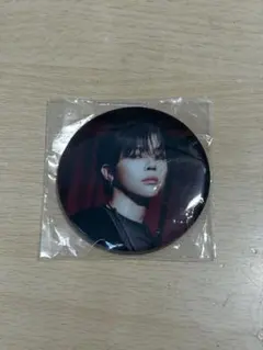 &team ニコラス　缶バッジ