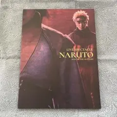 ナルステ パンフレット④