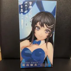 Careful　桜島麻衣 バニーVer. Renewal