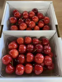 山形県産 さくらんぼ 紅王 3Lサイズ1kgのサムネイル