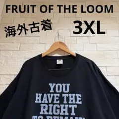 海外古着　フルーツオブザルーム　半袖Tシャツ　ビッグサイズ　大きめ　サイズ3XLのサムネイル