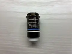 OLYMPUS LMPLFL50XBD 顕微鏡用レンズ - メルカリ