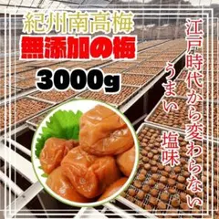 ▽人気爆発！紀州南高梅 500g 無添加 和歌山 紀州 白梅 1108 - メルカリ