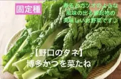 Kura様 リクエスト 10点 まとめ商品