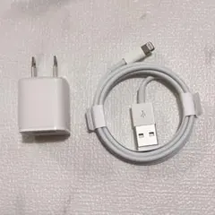 Apple純正ライトニングケーブル+ACアダプタ
