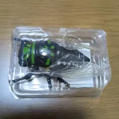昆虫 クマゼミ ミニチュアフィギュアのサムネイル