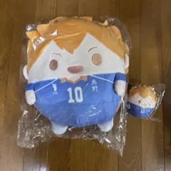 ハイキュー!!ぬいくじ　B賞　D賞　日向翔陽　くじメイト　ふわコロりん