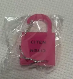 CITENアソートコレクション ガチャ　カラビナ ピンク