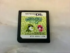 お茶犬の部屋 DS2 (SEGA)