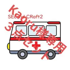 Kaoru様専用　３点セット　パネルシアター　普通サイズ　どんないろがすき　保育