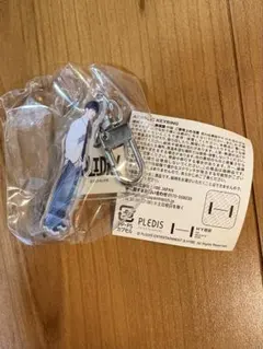 SEVENTEEN ドギョム HOLIDAY アクキー