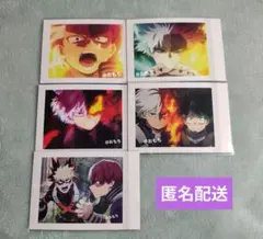 ヒロアカ 轟焦凍 ぱしゃこれ 5点セット