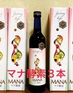 MANAマナ酵素3本　ファスティング　マナ酵素　カラ酵素賞味期限2027年11月のサムネイル