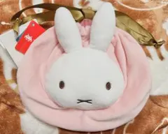 Item thumbnail for item c69046fe-7abb-43db-90db-9e478b232045