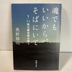 魂でもいいから、そばにいて 3・11後の霊体験を聞く　T4