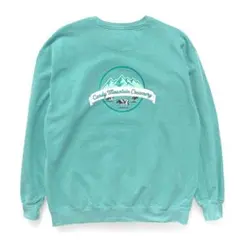 USA 古着 企業系 アイスクリーム スウェット トレーナー ロゴ プリント