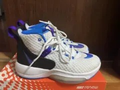 Item thumbnail for item 1bda573a-8dc8-494c-9ba7-fe605378289c