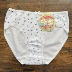 レディースショーツ　コットンショーツ　綿100% かわいい女性下着　白いパンツ