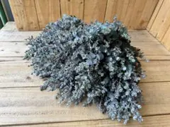 えい様 リクエスト 4点 まとめ商品