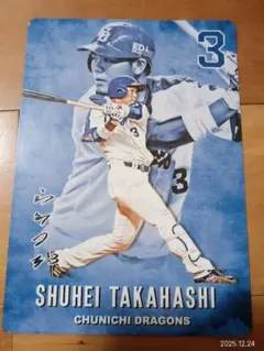 Item thumbnail for item 202f5af2-b3cc-408c-80c0-6732964d4583