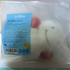 BOYNEXTDOOR プネクド ウナク ウンアギ WOONBABYキーホルダー