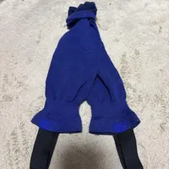 Item thumbnail for item 2219c6c1-5475-4ea0-a5b4-2e5661aa827b