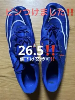 マックスフライ
