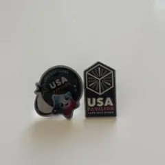 2026年最新】アメリカ館ピンバッジの人気アイテム - メルカリ