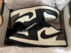 Item thumbnail for item 47f73942-a5e9-4154-9442-801071b1e173