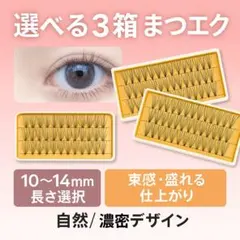 Item thumbnail for item 3668cfa6-f0d6-44b5-8063-f67ae62ffa43