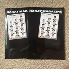 2026年最新】会報誌 seventeenの人気アイテム - メルカリ