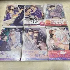 みだらな猫は爪を隠す シリーズ 6冊セット