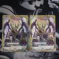 サッヴァークDG 2枚セット