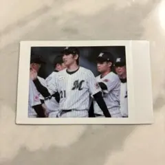 千葉ロッテ 石川柊太 シークレットチェキ