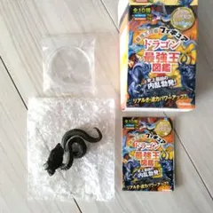 ドラゴン最強王図鑑　フィギュア　シークレット