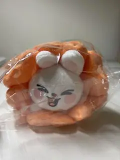 Stray kids skzoo ペンケース　leebit リービット