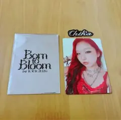 HANA CHIKA チカ　ランダムフォトカード　トレカ