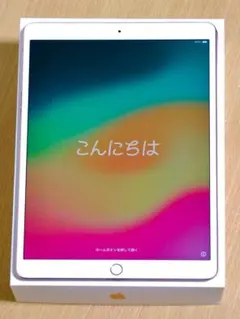 iPad Pro 10.5 Wi-Fi版 256GB