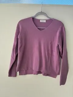 春物　薄手Vネックニット