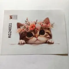 Item thumbnail for item 38507e49-34ee-480c-8e55-2047d5b415db