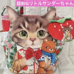 超BIGリトルサンダーちゃん＆苺いっぱい　コヤンイサムチョン　チューリップバック