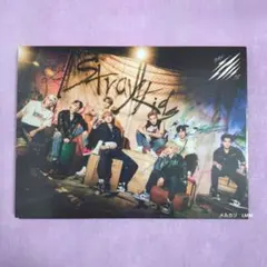 ■Stray Kids■『Scars/ソリクン』初回生産限定盤 B　CD　スキズ