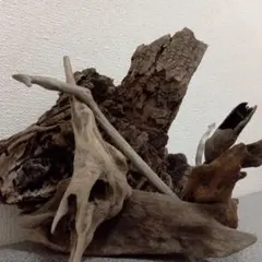 14〜27cmの流木7点　No.332