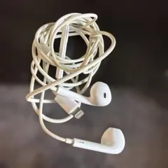 Lightningコネクタ 有線イヤフォン ホワイト アップル純正