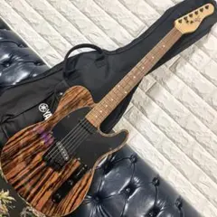 Squier Telecaster× OBEY Graphic レリック加工 - メルカリ
