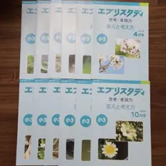 エプリスタディ 小3 思考表現力付き Z会の通信教育】小学3・4年生向け「思考・表現力」講座、新規開講