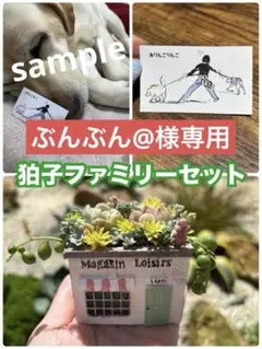 【ぶんぶん@様専用】レストランの多肉植物♡狛子ファミリー生写真全5種セット